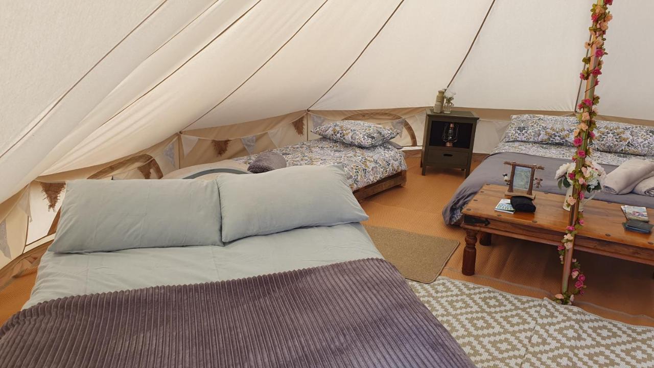 Hotel Calon Y Goedwig Glamping Llandovery Exterior foto