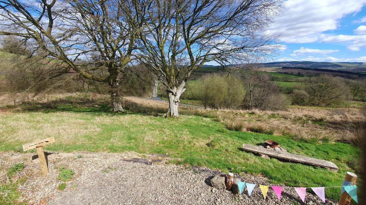 Hotel Calon Y Goedwig Glamping Llandovery Exterior foto